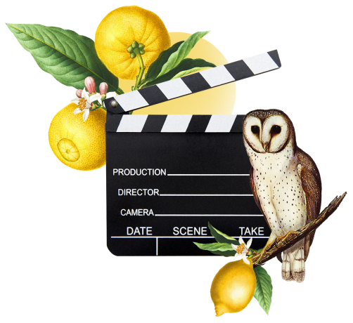 Filmy reklamowe - wideo i montaż